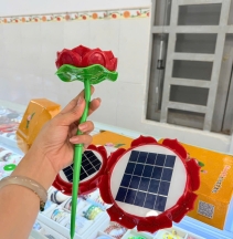 Đài kinh năng lượng mặt trời