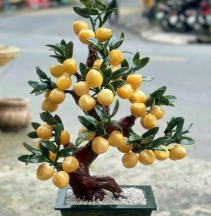 Cây đào đá 38 quả 