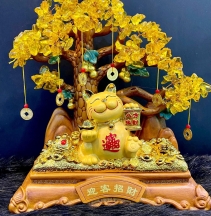 Cây kim tiền mèo thần tài