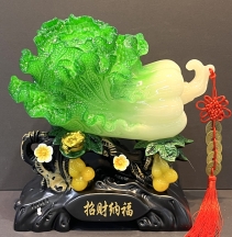 Bắp cải hoa cúc
