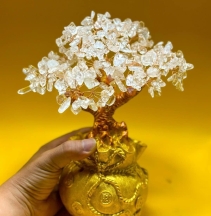 Cây thạch anh tài lộc đế tròn