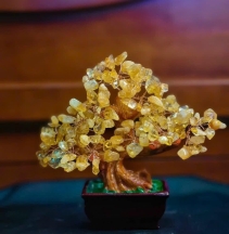 Cây Thạch Anh tài lộc đế vuông