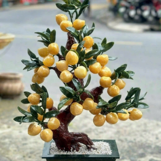 Cây đào đá 38 quả 