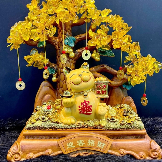Cây kim tiền mèo thần tài