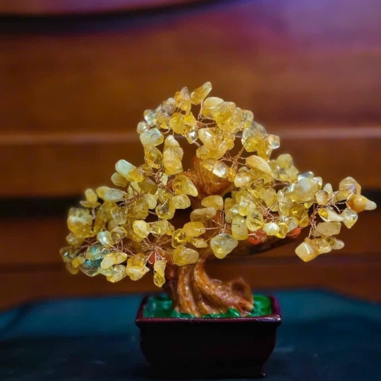 Cây Thạch Anh tài lộc đế vuông