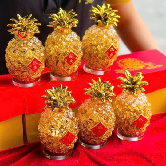 Dứa vành lá tài lộc 