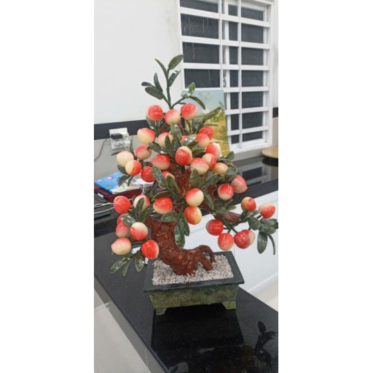 Cây đào đá 38 quả 