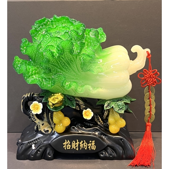 Bắp cải hoa cúc