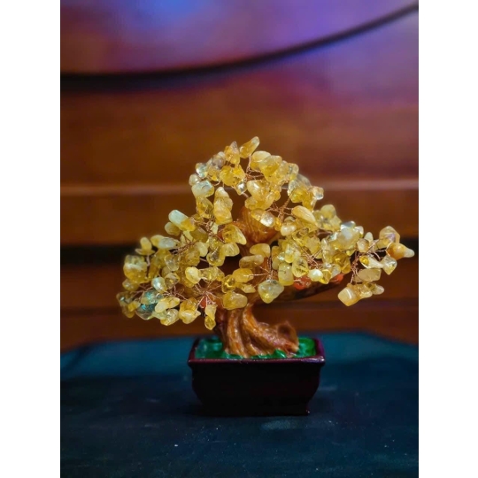 Cây Thạch Anh tài lộc đế vuông