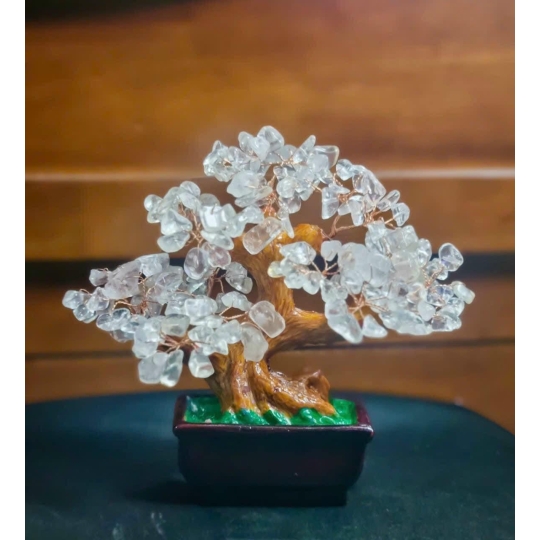 Cây Thạch Anh tài lộc đế vuông