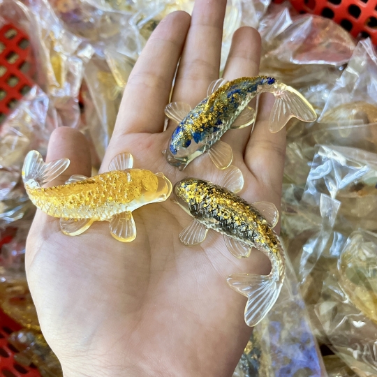 Cá koi tam tài ngũ phúc 