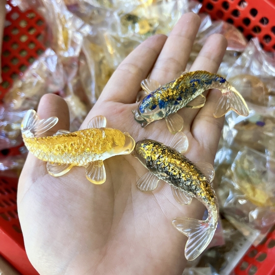Cá koi tam tài ngũ phúc 