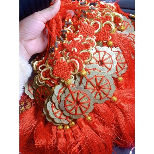 Đồng tiền treo 