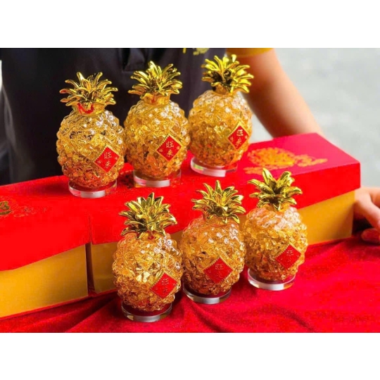 Dứa vành lá tài lộc 